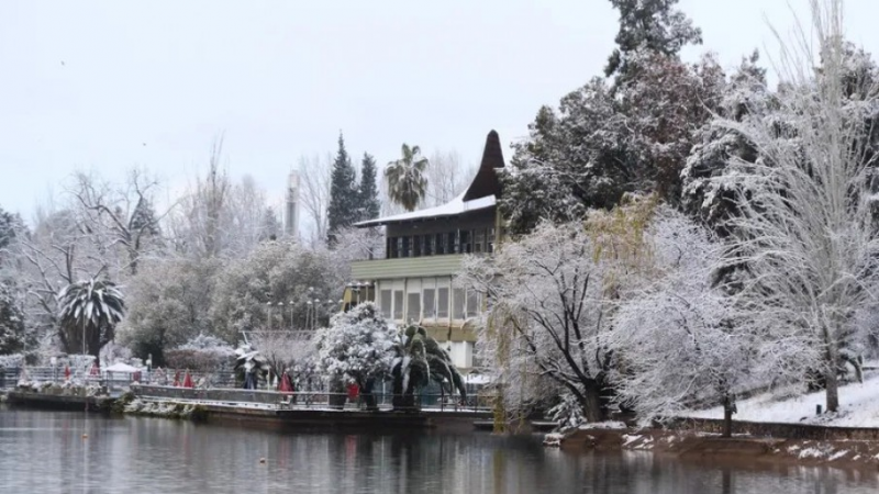 Ola polar en Mendoza: anticipan nieve, lloviznas y temperaturas bajo cero